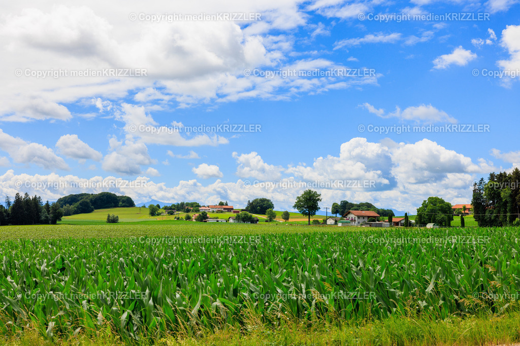 _J3A8028 | medienkrizzler - Realisiert mit Pictrs.com