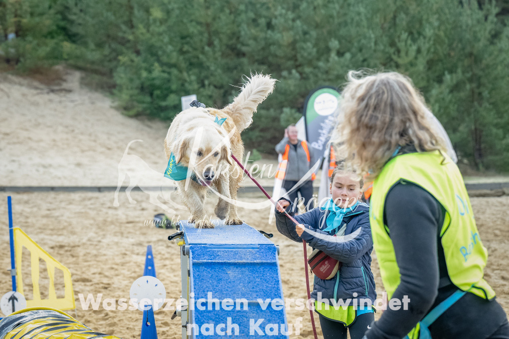 0919_ZZ92221-Bearbeitet | kk-dogfotos
