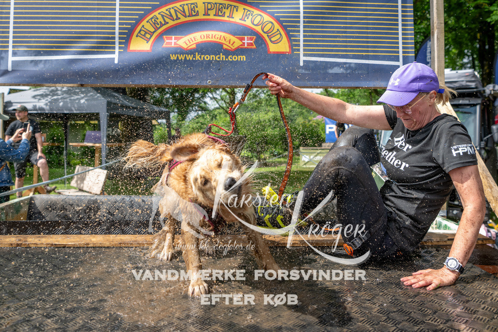 1042_ZZ91737 | kk-dogfotos