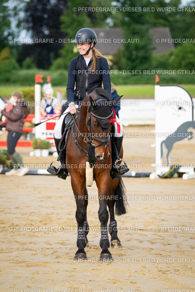 DSC03167 | Pferdegrafie