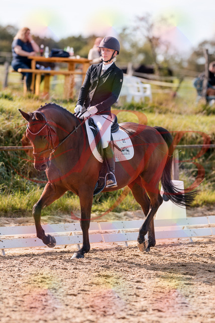 2026_10_03_Siefer-Hof_130901_Z81_62808421 | Professionelle Reitsport-, Turnier- und Eventfotografie von Robert Broda. Galerien mit ausgewählten und bearbeiteten Bildern direkt online ansehen und bestellen.
