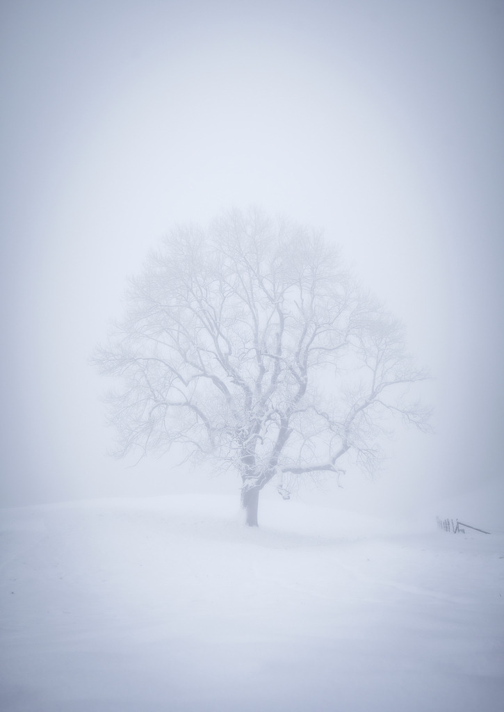 A7401547-Bearbeitet | Landschaftsfotografien und Naturfotografien (Schweiz, Europa) auf Leinwand, Postkarten und Poster. Wähle dein Lieblingsfoto und entscheiden selber, welches Fotoprodukt du bestellen willst. Grosse Auswahl an Karten zum Versenden und Verschenken. - Realisiert mit Pictrs.com