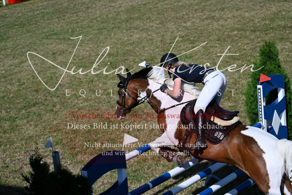 DSC_2393 | Pferde- und Turnierfotografie in Westsachsen. Pferdeportraits, Auftragszeichnungen und intuitive Kunst.