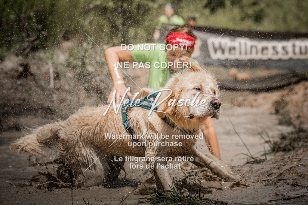 nelerasche_Hoope2026_Sa1200-1230_636 | nelerasche