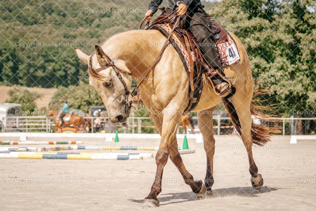 DSC07843 | ikphotography - Realisiert mit Pictrs.com