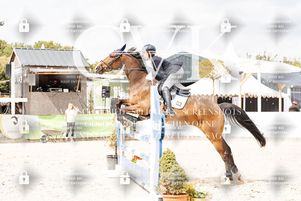 CK909269 | Turnierfotografie Pferdefotografie Trier Rheinland-Pfalz Pferdesport Reitsport Tierfotografie Sportfotografie Pferdevideo Pferdevideografie Equestrianvideography equestrianphotography  - Realisiert mit Pictrs.com