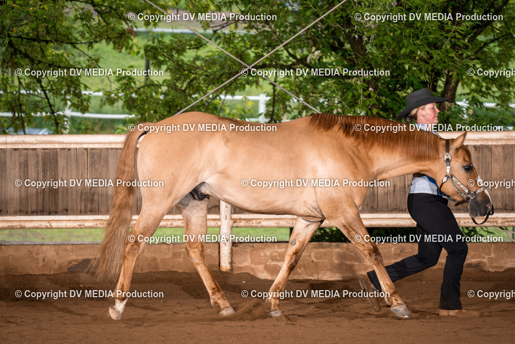 Erbach Tag 4-121 | dv-media-shop - Realisiert mit Pictrs.com