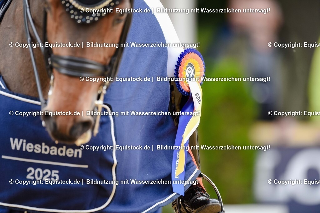20250607_1_GP-Tour_Dressage_0502 | Foto: Thomas Hartig