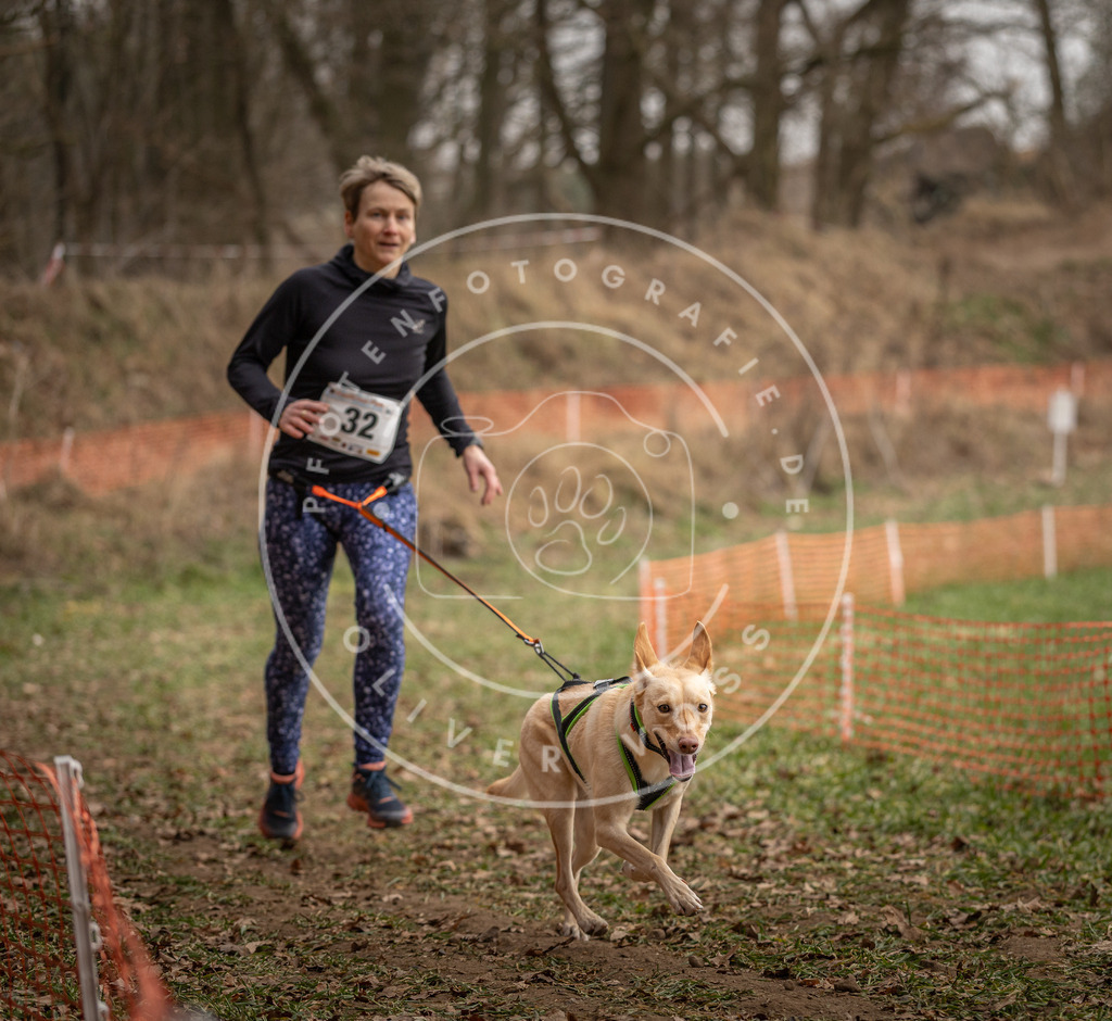 Pfotenfotografie_DV3A9119 | Hundefotografie, Tierfotograf, Pfotenfotografie, Fotoshooting Hund, Hunde Portrait, Hundesport, Hundeportraits, Heideshooting, Hunde, Sportfotograf, Hundefotograf, Turnierhundsport, THS,  - Realisiert mit Pictrs.com