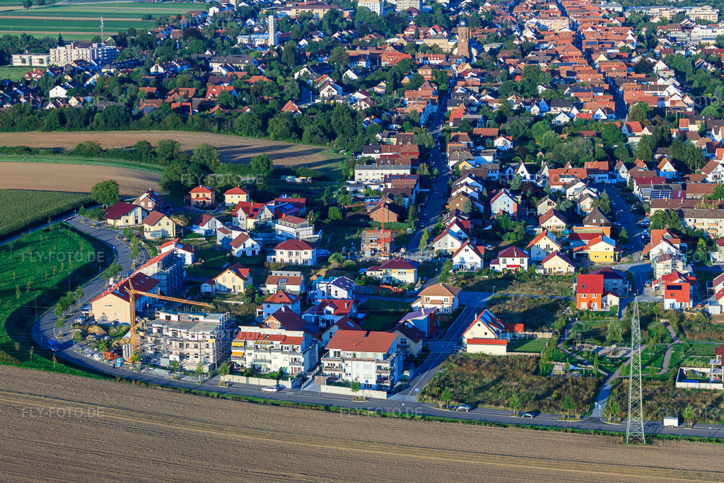 Luftbild: Am Maisfeld in Kandel im Bundesland Rheinland-Pfalz in Deutschland. Foto: IMG_32760.jpg vom 01.09.2010 durch Werner Riehm/FLY-FOTO.de