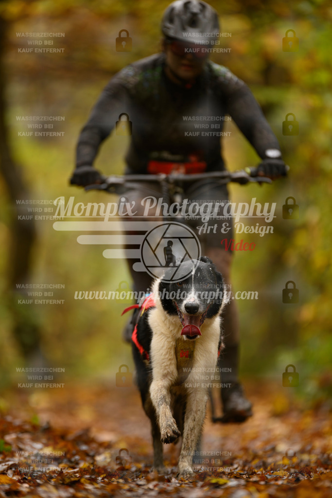 MompixPhotography_CD7S_DI_Bike-85 | mompixphotography