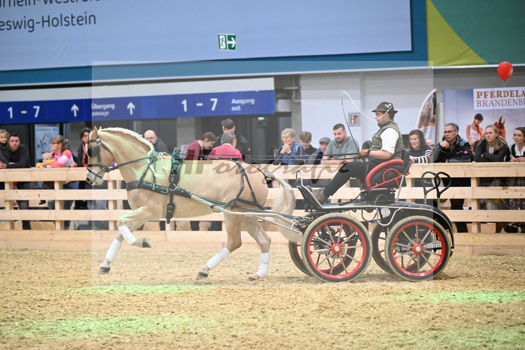 Schauprogramm_DSP Daria_1261151 | hf-fotografie - Realisiert mit Pictrs.com