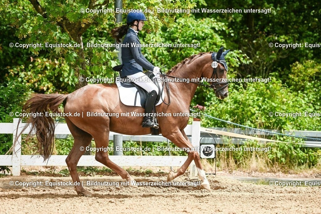 20230716_03_Dressurprfg. Kl.L - Tr._0329 | equistock
