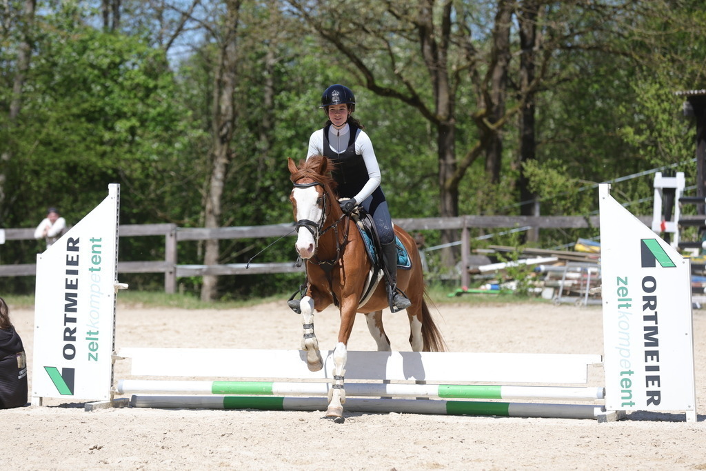 0P6A8802 | Willkommen bei Brunnmayr - Design & Fotografie – Ihrem Spezialisten für Reitturniere und Pferdeveranstaltungen in Oberösterreich, Salzburg und Bayern! Seit über 17 Jahren sind wir leidenschaftlich dabei.