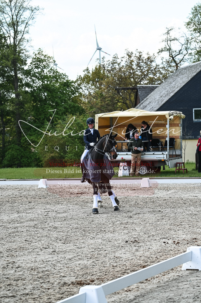 20230514_JK-Röhrsdorf-18-650 | Pferde- und Turnierfotografie in Westsachsen. Pferdeportraits, Auftragszeichnungen und intuitive Kunst.