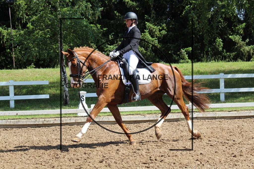 IMG_7131 | franziskalange - Realisiert mit Pictrs.com