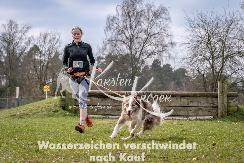 _ZZ92295 | kk-dogfotos