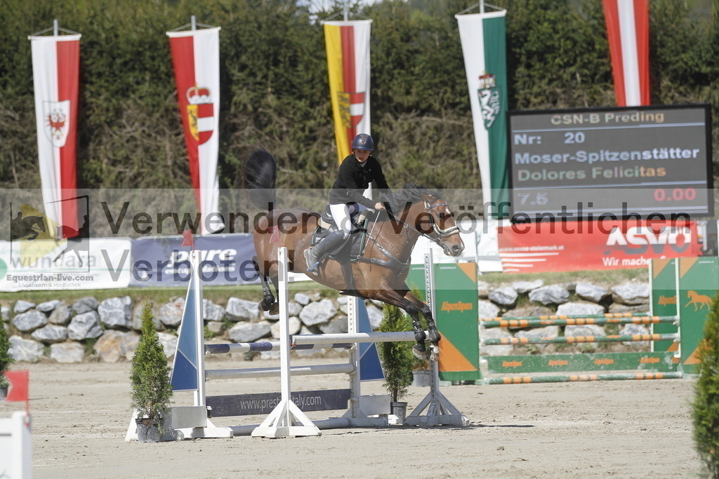 _MG_6785 | equestrian-live-com