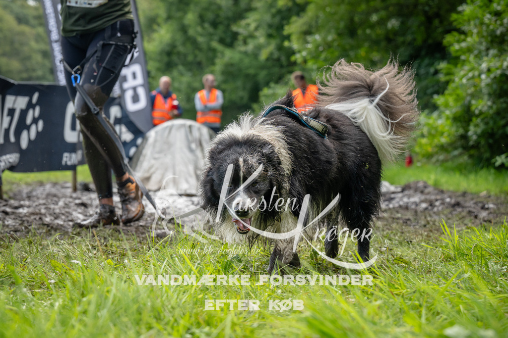 1101_ZZ93384 | kk-dogfotos