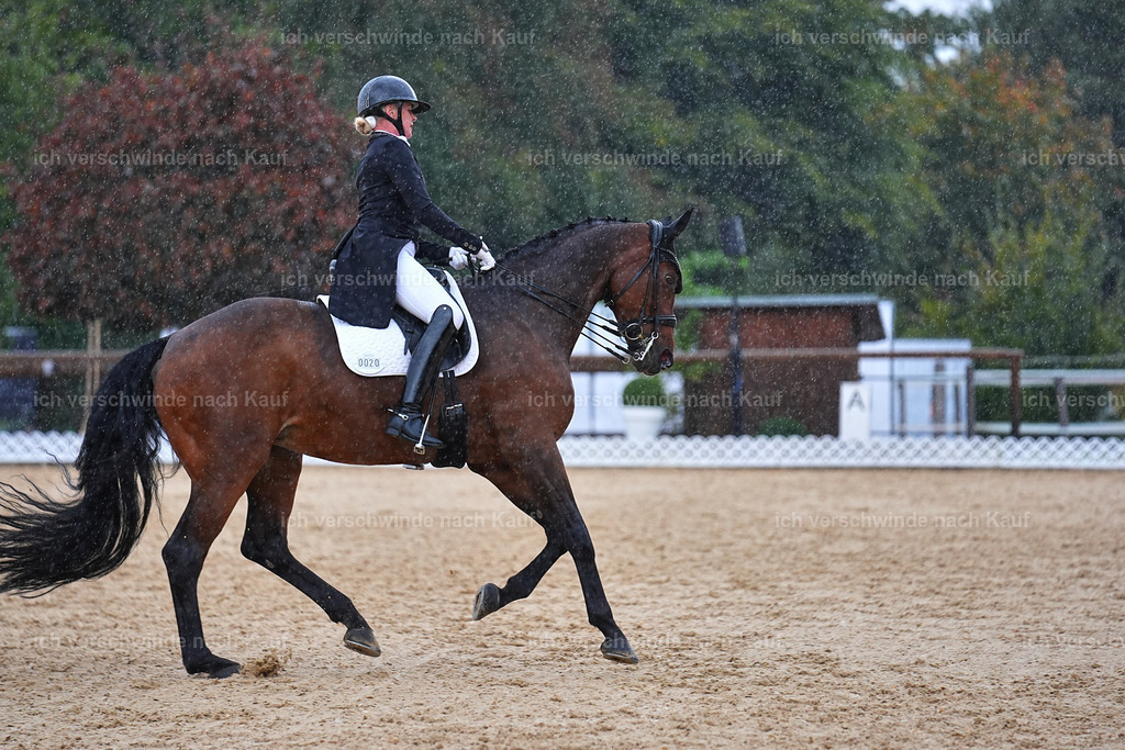 8_1-020-Klasse S_  -Marixx-4350 | working equitationturnier fotograf videograf stoibphotography marixx film working equitation deutschland reitsport turnierfotografie eventfotografie equestrian events