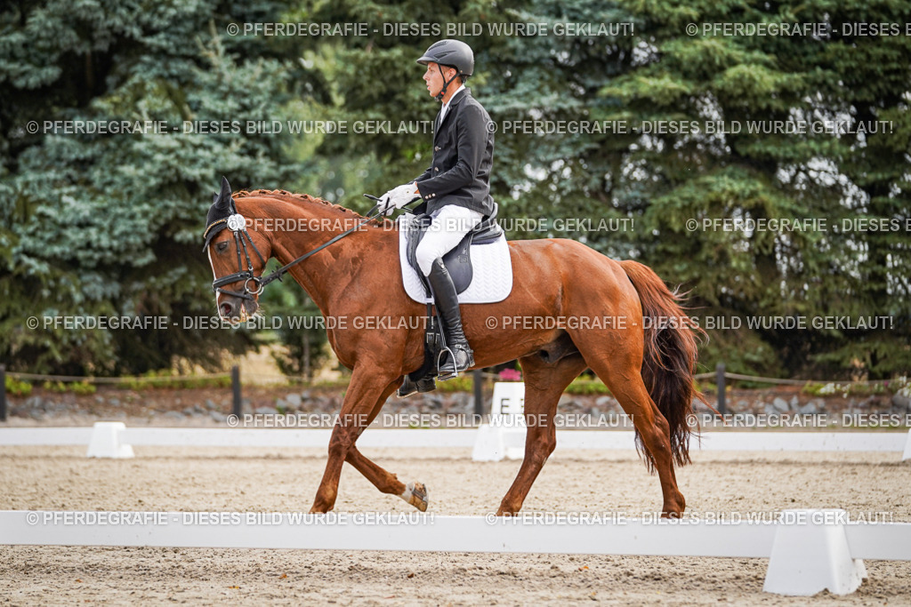 DSC01579 | Pferdegrafie