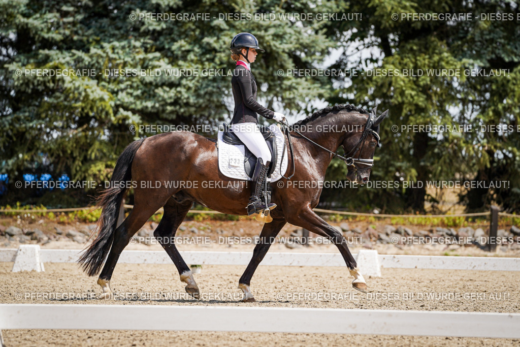 DSC01678 | Pferdegrafie