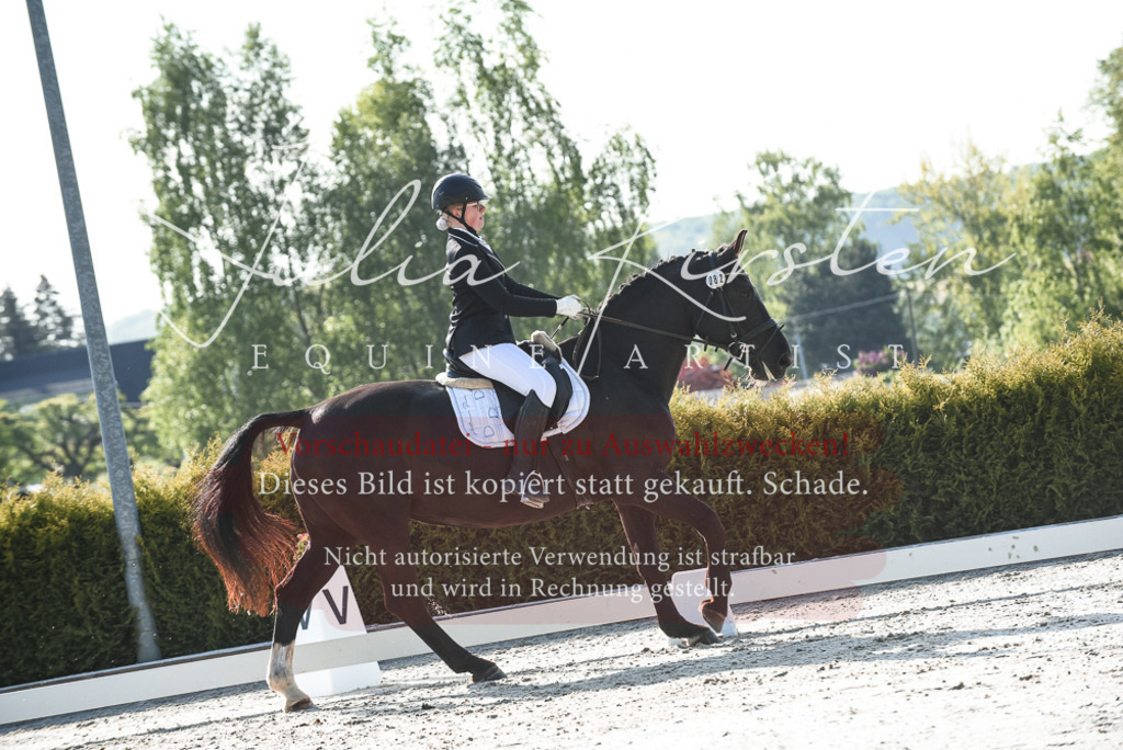 20230518_JK-Röhrsdorf-09-0660 | Pferde- und Turnierfotografie in Westsachsen. Pferdeportraits, Auftragszeichnungen und intuitive Kunst.