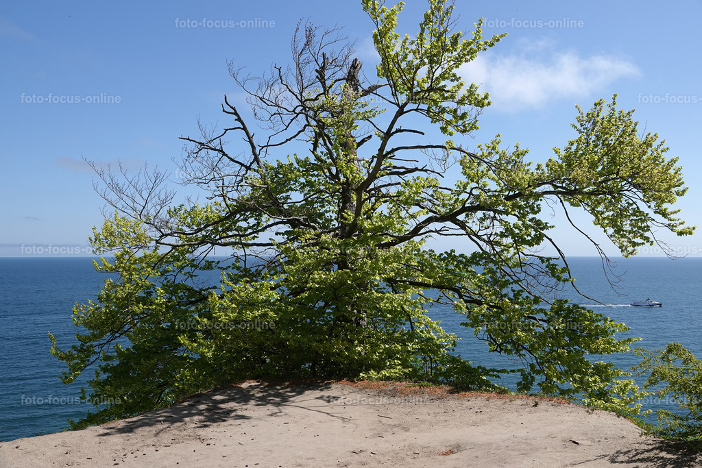 Colorful Baltic sea | Landscape photography, spectacular waves, Atlantic Ocean, Baltic Sea