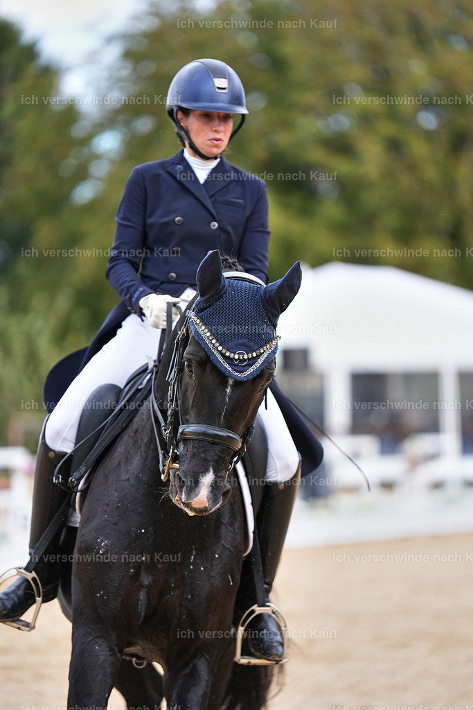 10-190-ST.GEORG SPECIAL -Marixx-3371 | working equitationturnier fotograf videograf stoibphotography marixx film working equitation deutschland reitsport turnierfotografie eventfotografie equestrian events
