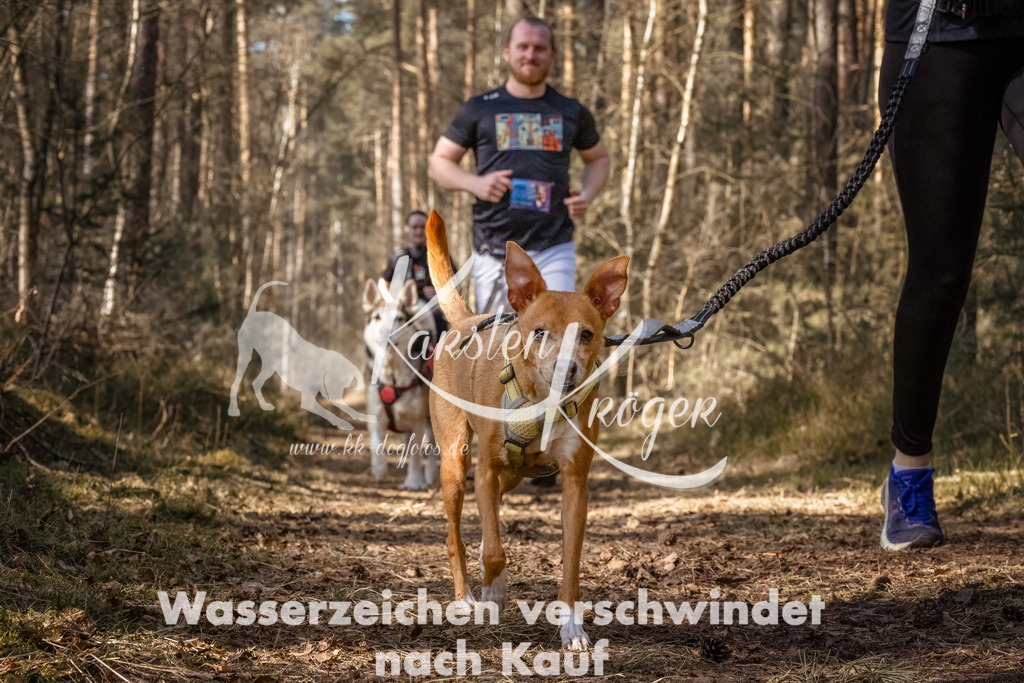 1206_ZZ92884-Bearbeitet | kk-dogfotos