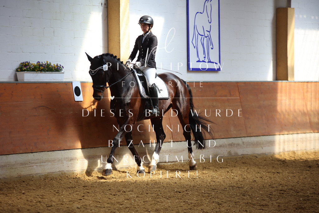 IMGT4493 | pl-fotografie