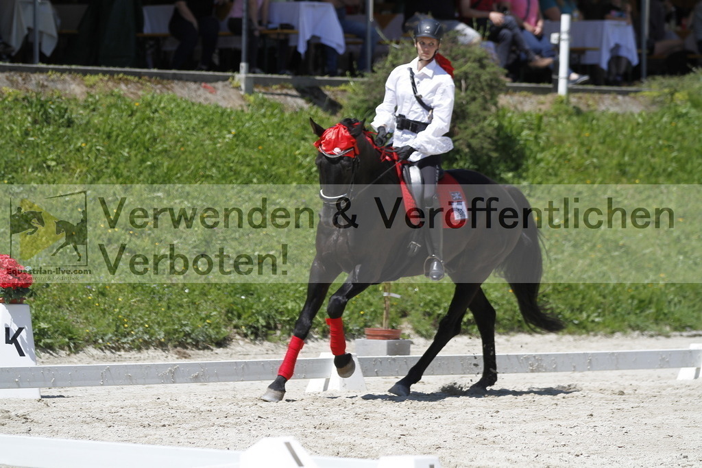 _MG_7433 | equestrian-live-com