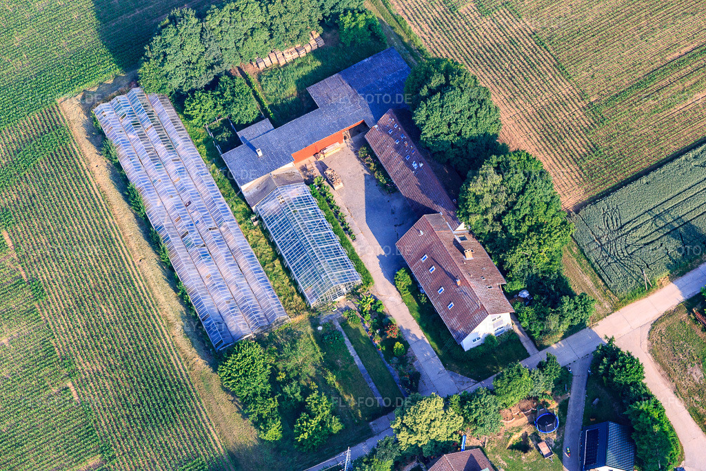 Luftbild: Gärtnerhof in Ottersheim bei Landau im Bundesland Rheinland-Pfalz in Deutschland. Foto: IMG_080691.jpg vom 12.06.2015 durch Werner Riehm/FLY-FOTO.de