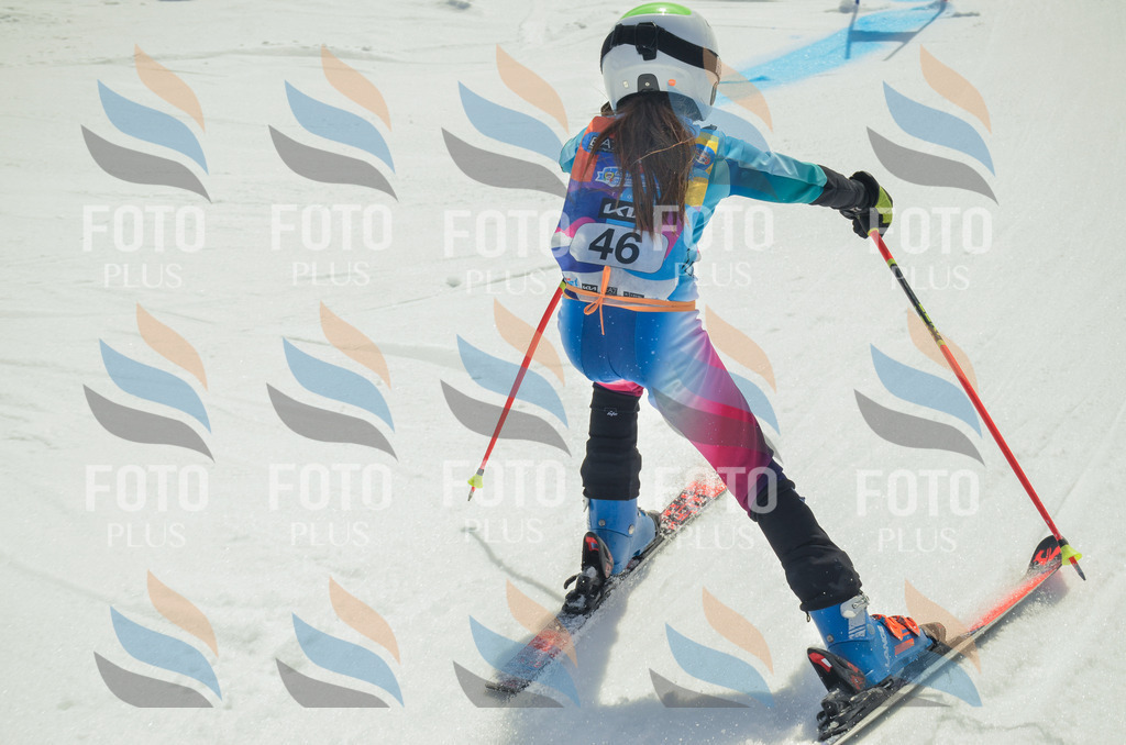 _ELE5133 | holidayphoto