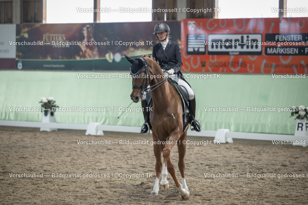 _D5A6465 | Emotionale Pferde- & People-Fotografie rund um Heidelberg, Leimen & Umgebung. Natürliche Fotos von Pferd, Mensch & Familie. Jetzt Termin sichern!