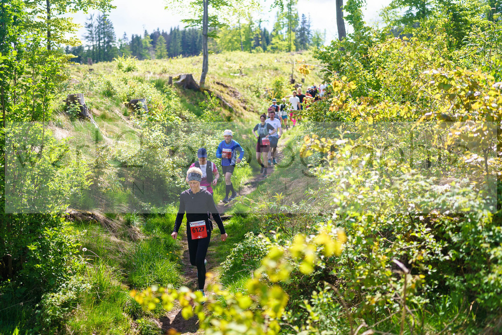 Rennsteiglauf Marathon 2025 | Marathon von Neuhaus/Rwg. nach Schmiedefeld/Rstg. am 17. Mai 2025