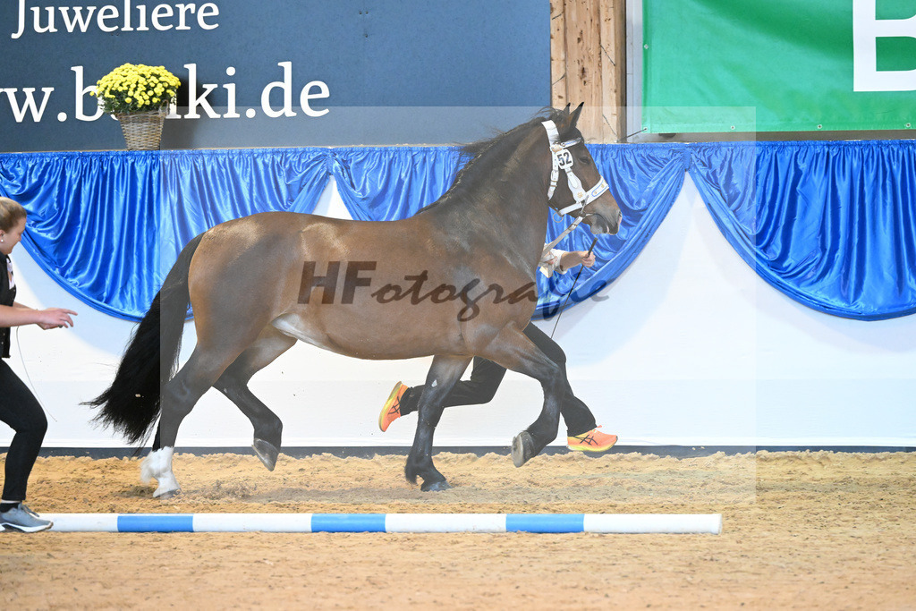 Kat-Nr. 52 Jette_Engelhard_53220092 | hf-fotografie - Realisiert mit Pictrs.com