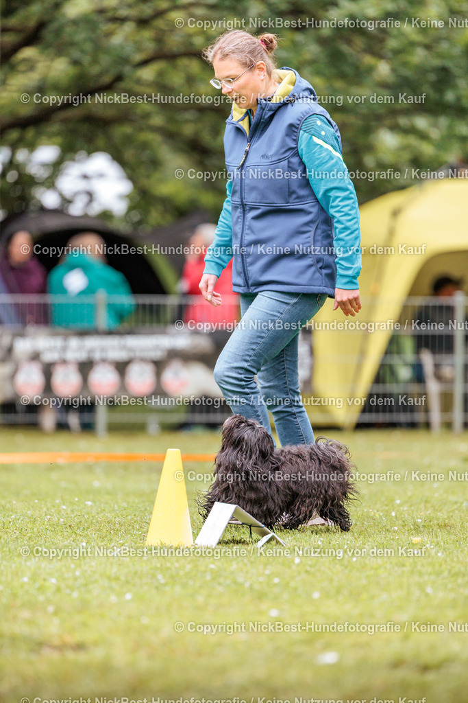 RO-Blumenthal-2026-Nickbest-Hundefotografie-0884 | Dein Hund! Dein Moment! Deine Erinnerungen! Hundefotografie in Bremen Blumenthal. Ich fange die besonderen Momente deines Vierbeiners ein – ob Indoor mit Blitzanlage oder in der freien Natur. Sicher dir dein Moment und dein Termin für eure Erinnerungen.