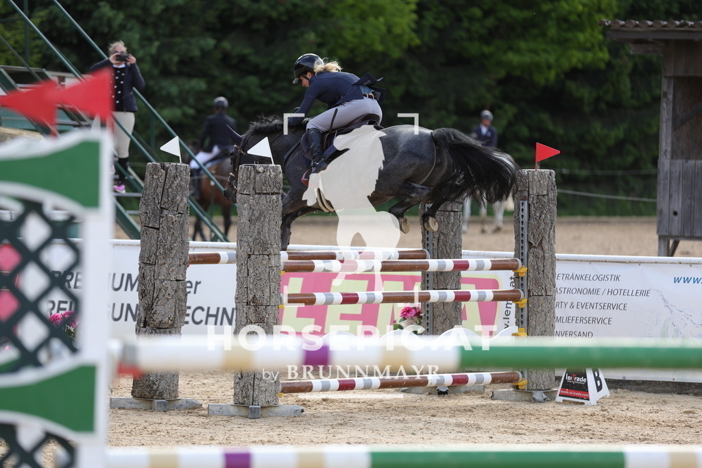 0P6A7605 | Willkommen bei Brunnmayr - Design & Fotografie – Ihrem Spezialisten für Reitturniere und Pferdeveranstaltungen in Oberösterreich, Salzburg und Bayern! Seit über 17 Jahren sind wir leidenschaftlich dabei.