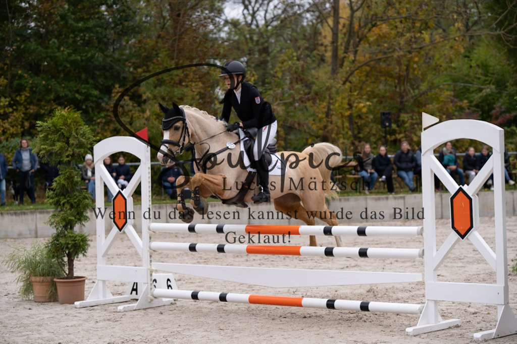 A7V07832 | Pferdefotograf