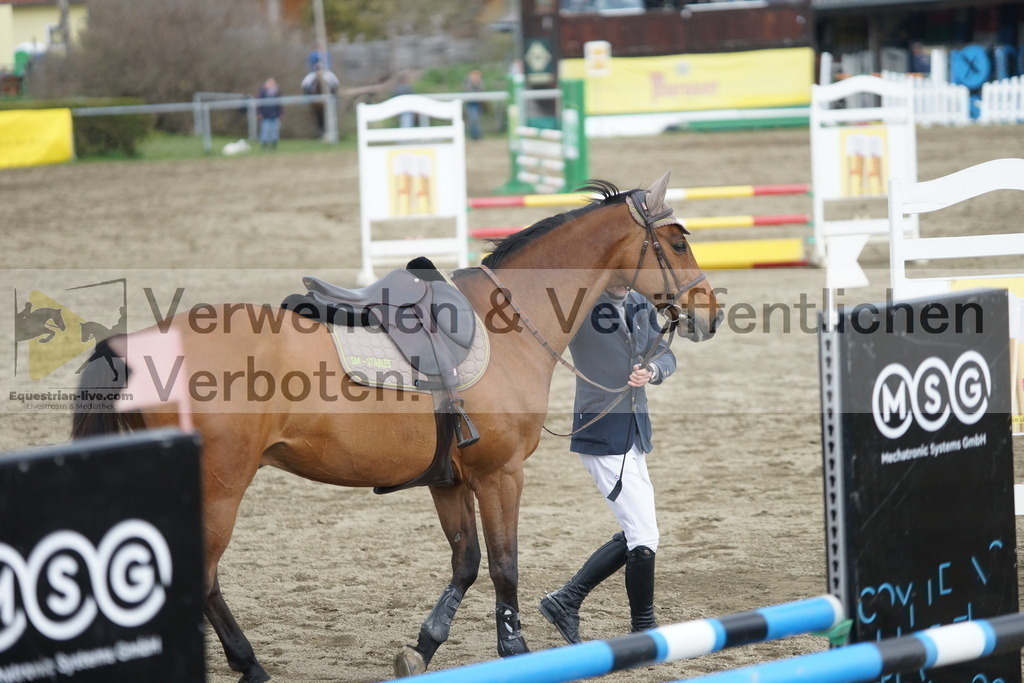 DSC00694 | equestrian-live-com