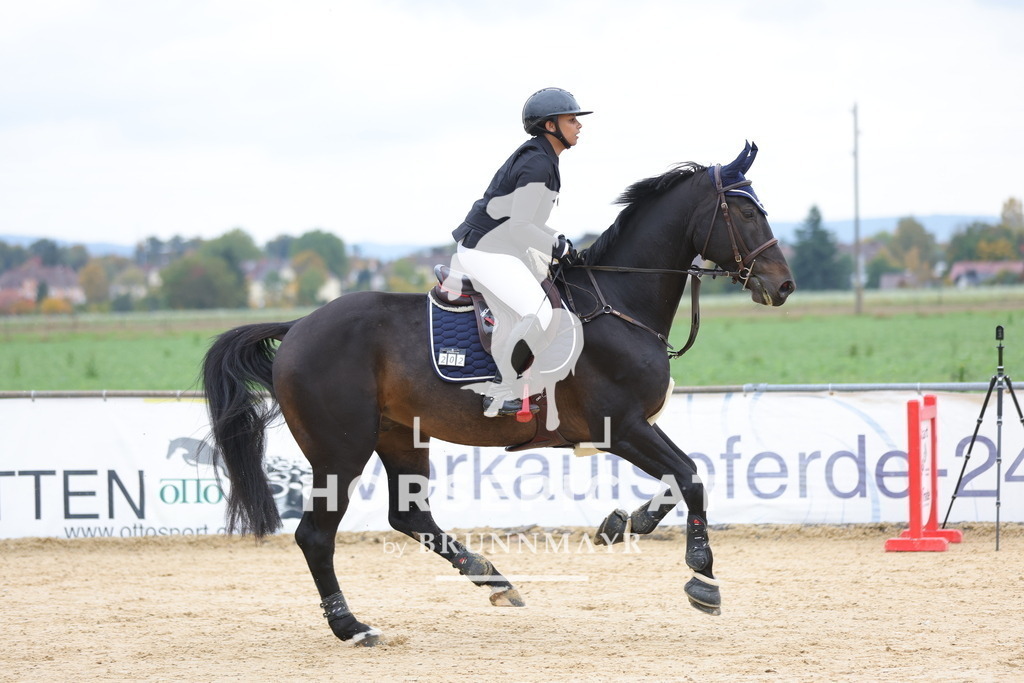 0P6A2897 | Willkommen bei Brunnmayr - Design & Fotografie – Ihrem Spezialisten für Reitturniere und Pferdeveranstaltungen in Oberösterreich, Salzburg und Bayern! Seit über 17 Jahren sind wir leidenschaftlich dabei.