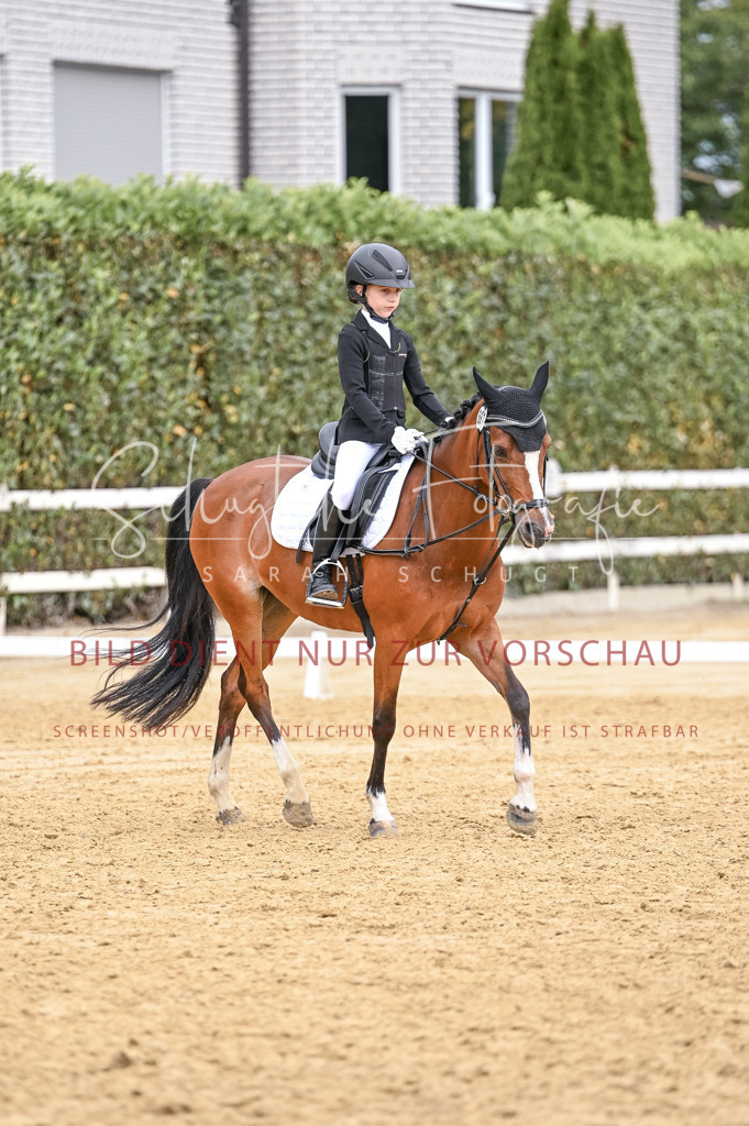 Schugtsche-Aluta25-44.DresssurreiterWB-261 | Schugtsche Fotografie - Realisiert mit Pictrs.com