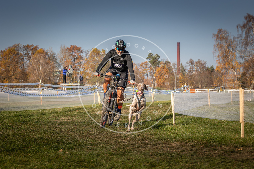 CaniXpix_0L8A7829 | Hundefotografie, Tierfotograf, Pfotenfotografie, Fotoshooting Hund, Hunde Portrait, Hundesport, Hundeportraits, Heideshooting, Hunde, Sportfotograf, Hundefotograf, Turnierhundsport, THS,  - Realisiert mit Pictrs.com