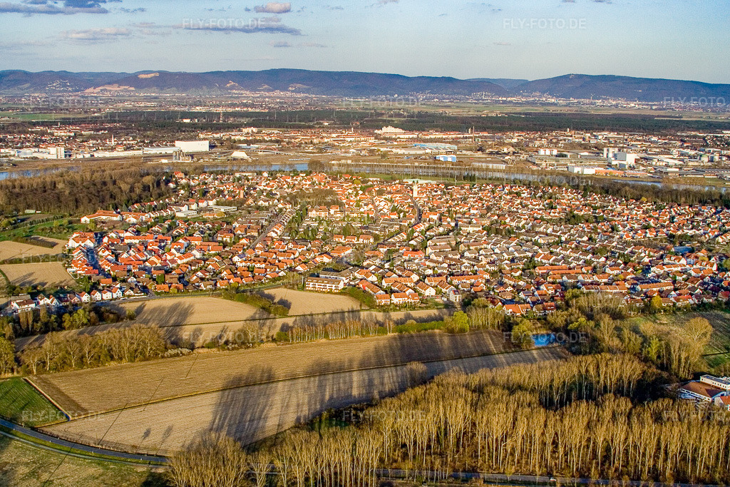 Luftbild: Ortsansicht von Westen in Altrip im Bundesland Rheinland-Pfalz in Deutschland. Foto: IMG_10107.jpg vom 29.03.2008 durch Werner Riehm/FLY-FOTO.de