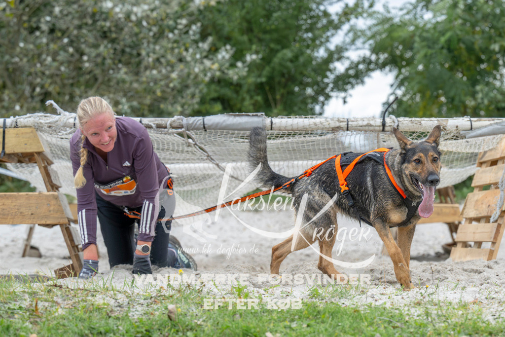 1039_ZZ94791 | kk-dogfotos