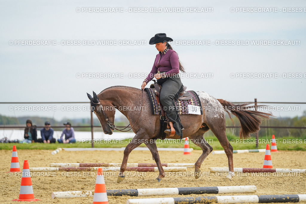 DSC03520 | Pferdegrafie