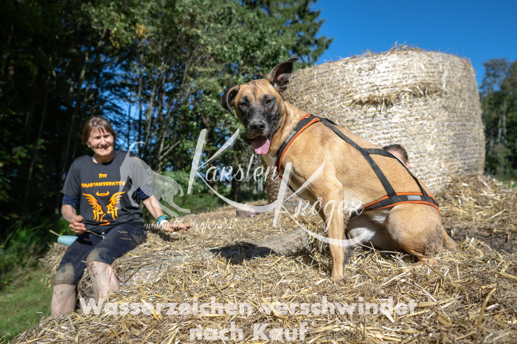 1233_ZZ91515-2 | kk-dogfotos