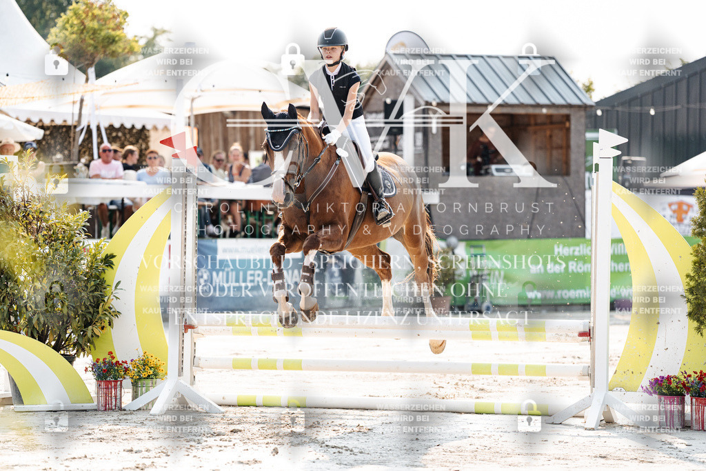 CK902769 | Turnierfotografie Pferdefotografie Trier Rheinland-Pfalz Pferdesport Reitsport Tierfotografie Sportfotografie Pferdevideo Pferdevideografie Equestrianvideography equestrianphotography  - Realisiert mit Pictrs.com
