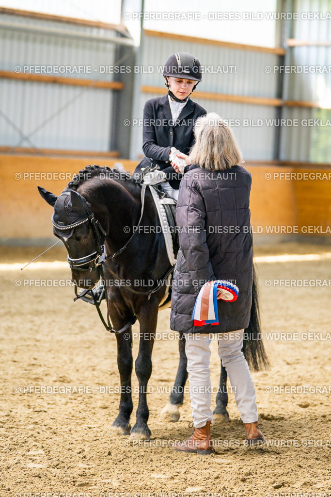 DSC02734 | Pferdegrafie